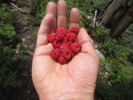 photo thumbnail #6