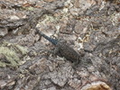 photo thumbnail #9