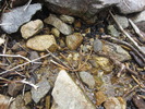 photo thumbnail #14
