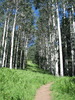 photo thumbnail #4