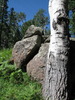 photo thumbnail #6
