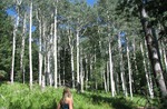 photo thumbnail #7