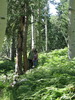 photo thumbnail #10