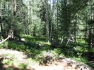 photo thumbnail #11
