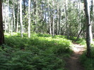 photo thumbnail #12