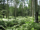 photo thumbnail #15