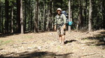 photo thumbnail #8