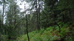 photo thumbnail #11