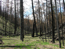 photo thumbnail #9