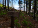 photo thumbnail #9