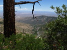 photo thumbnail #10