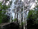 photo thumbnail #14