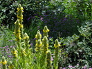 photo thumbnail #15