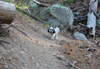 photo thumbnail #10