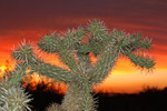 photo thumbnail #13