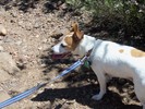 photo thumbnail #5