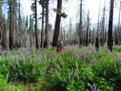 photo thumbnail #8
