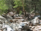 photo thumbnail #3