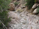 photo thumbnail #13
