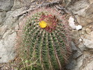 photo thumbnail #14
