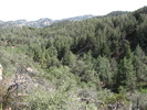 photo thumbnail #15