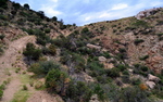 photo thumbnail #3