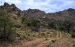 photo thumbnail #5