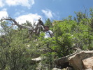 photo thumbnail #3