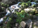 photo thumbnail #14