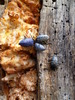 photo thumbnail #3