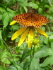 photo thumbnail #10