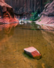 photo thumbnail #5