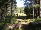 photo thumbnail #7