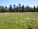 photo thumbnail #15