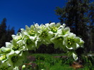 photo thumbnail #13