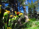 photo thumbnail #15