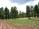 photo thumbnail #8