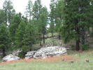 photo thumbnail #9
