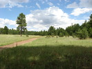 photo thumbnail #12