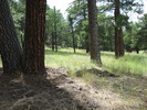 photo thumbnail #13
