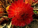 photo thumbnail #2