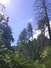 photo thumbnail #10