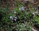 photo thumbnail #11