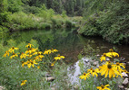 photo thumbnail #8