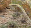 photo thumbnail #3
