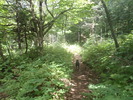 photo thumbnail #2