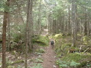 photo thumbnail #6