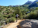 photo thumbnail #5
