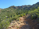 photo thumbnail #8