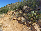 photo thumbnail #10